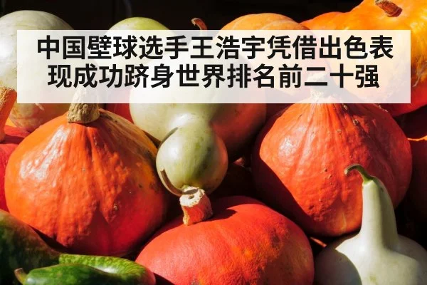 Wang Haoyu squash