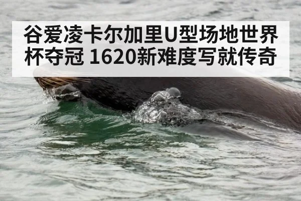 谷爱凌卡尔加里U型场地世界杯夺冠 1620新难度写就传奇
